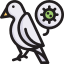 Virus Transmission Color icon 64x64